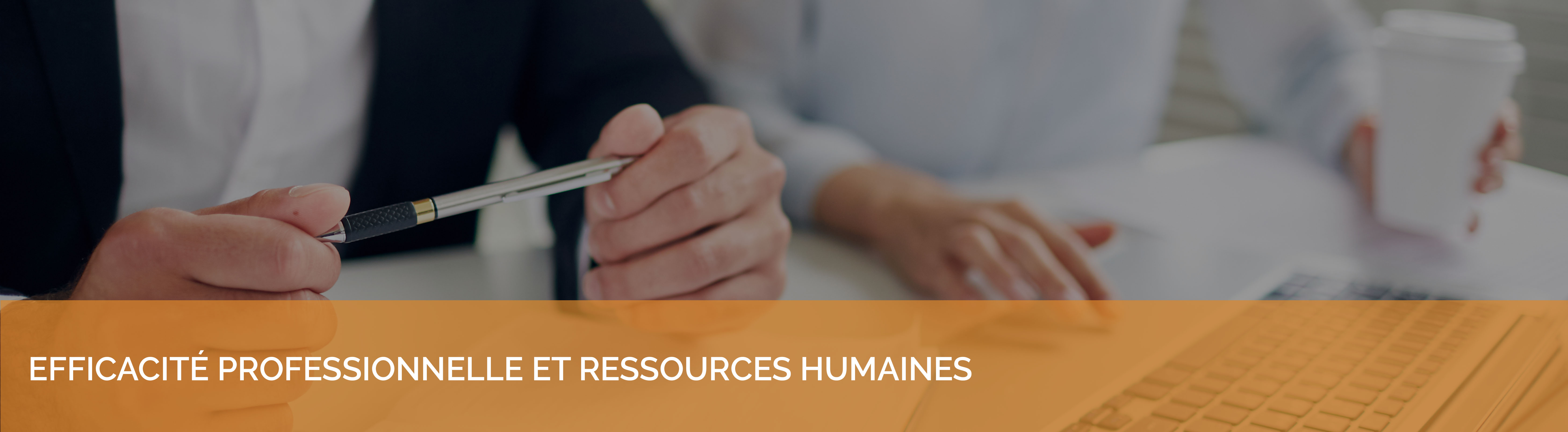 Formations efficacité professionnelle et ressources humaines Idéallis